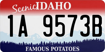 ID license plate 1A9573B