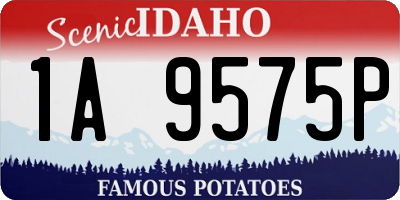 ID license plate 1A9575P