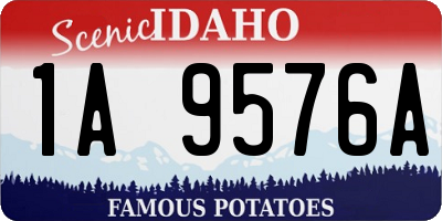 ID license plate 1A9576A