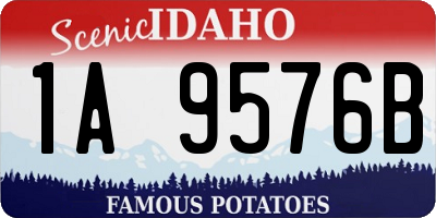 ID license plate 1A9576B