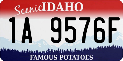 ID license plate 1A9576F