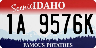 ID license plate 1A9576K