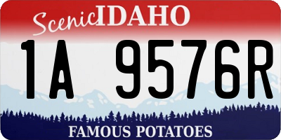 ID license plate 1A9576R