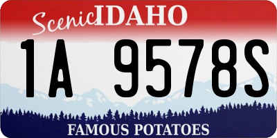 ID license plate 1A9578S