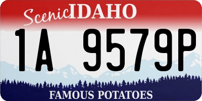 ID license plate 1A9579P