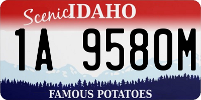 ID license plate 1A9580M