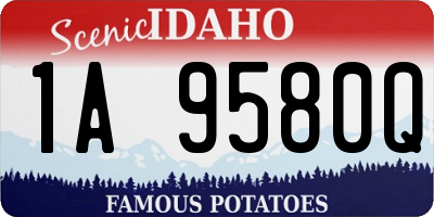 ID license plate 1A9580Q