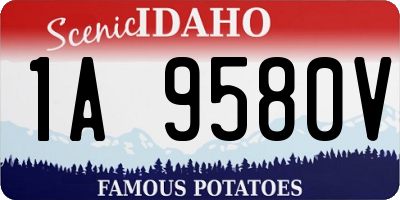 ID license plate 1A9580V