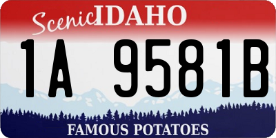 ID license plate 1A9581B