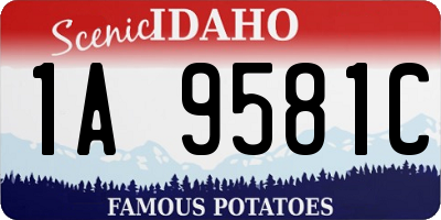 ID license plate 1A9581C