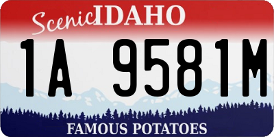 ID license plate 1A9581M