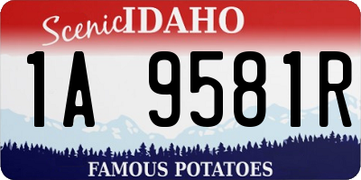 ID license plate 1A9581R