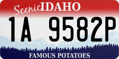 ID license plate 1A9582P