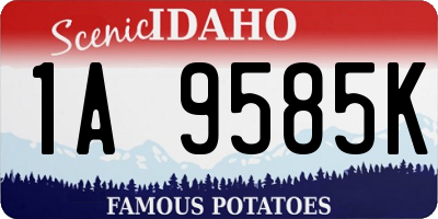 ID license plate 1A9585K