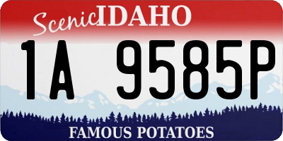 ID license plate 1A9585P