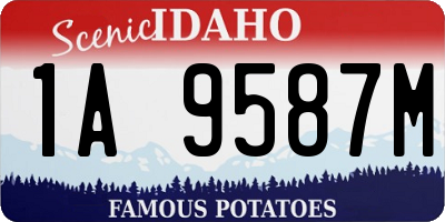 ID license plate 1A9587M