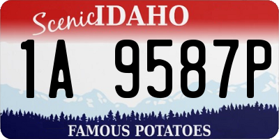 ID license plate 1A9587P