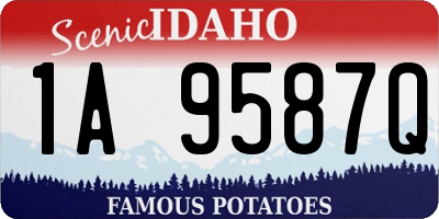 ID license plate 1A9587Q