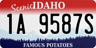 ID license plate 1A9587S