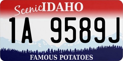 ID license plate 1A9589J
