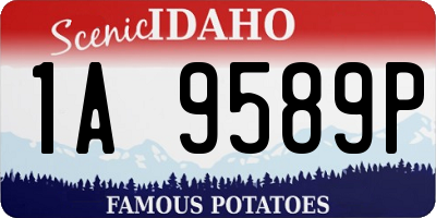 ID license plate 1A9589P