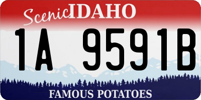 ID license plate 1A9591B