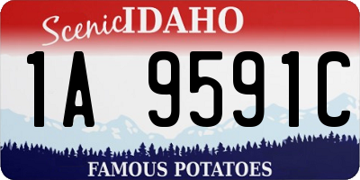 ID license plate 1A9591C