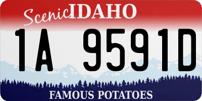 ID license plate 1A9591D