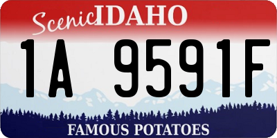 ID license plate 1A9591F