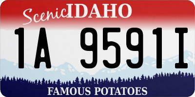 ID license plate 1A9591I