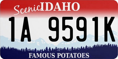 ID license plate 1A9591K