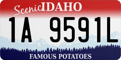 ID license plate 1A9591L