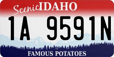ID license plate 1A9591N