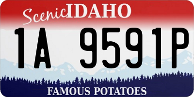 ID license plate 1A9591P