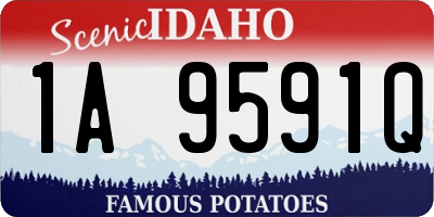 ID license plate 1A9591Q