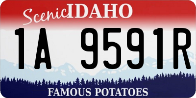 ID license plate 1A9591R
