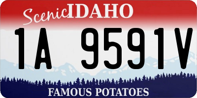 ID license plate 1A9591V