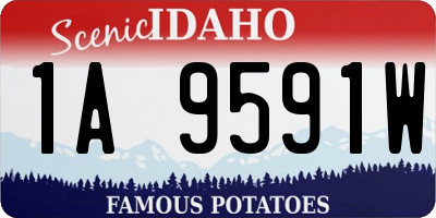 ID license plate 1A9591W