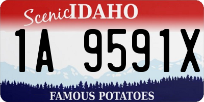 ID license plate 1A9591X