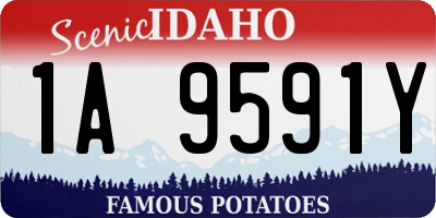 ID license plate 1A9591Y