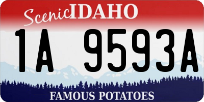 ID license plate 1A9593A