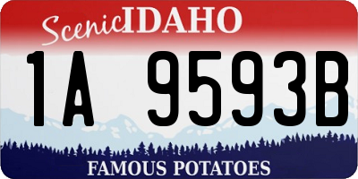 ID license plate 1A9593B