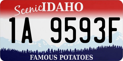 ID license plate 1A9593F
