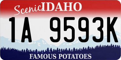 ID license plate 1A9593K