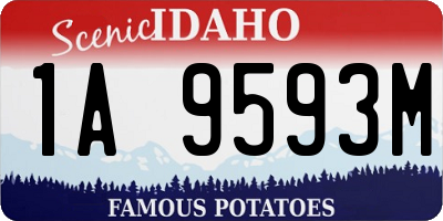ID license plate 1A9593M