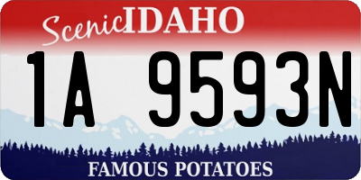ID license plate 1A9593N