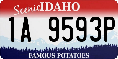 ID license plate 1A9593P