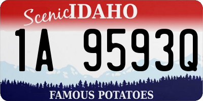 ID license plate 1A9593Q