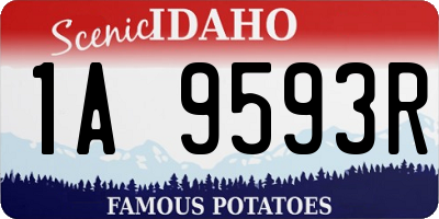 ID license plate 1A9593R