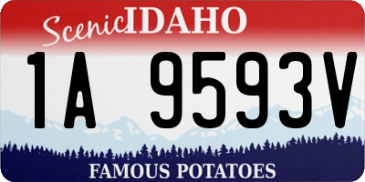 ID license plate 1A9593V